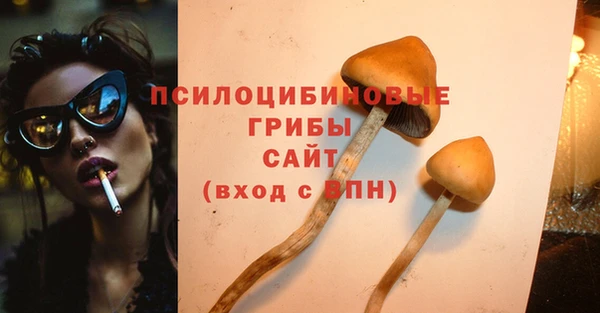 амф Абинск