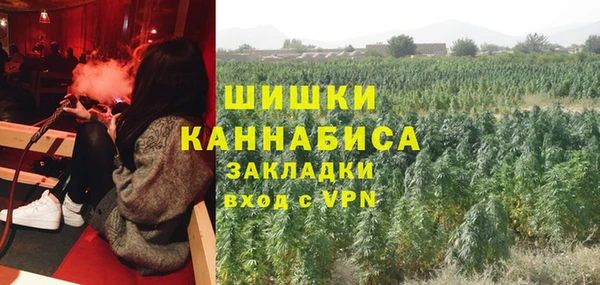 соль ск Абаза