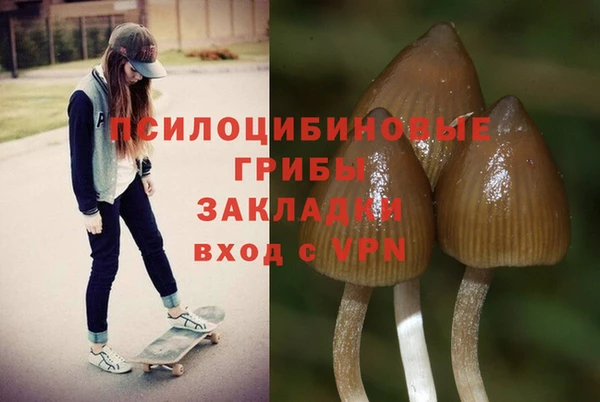 амф Абинск