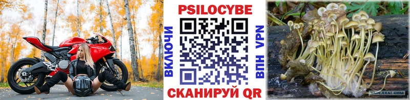 Галлюциногенные грибы Cubensis  mega tor  darknet Telegram  Калачинск 